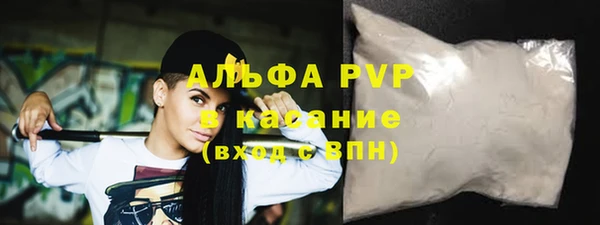 стаф Богданович