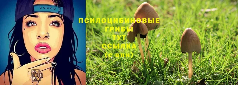 что такое наркотик  Анива  Галлюциногенные грибы Magic Shrooms 